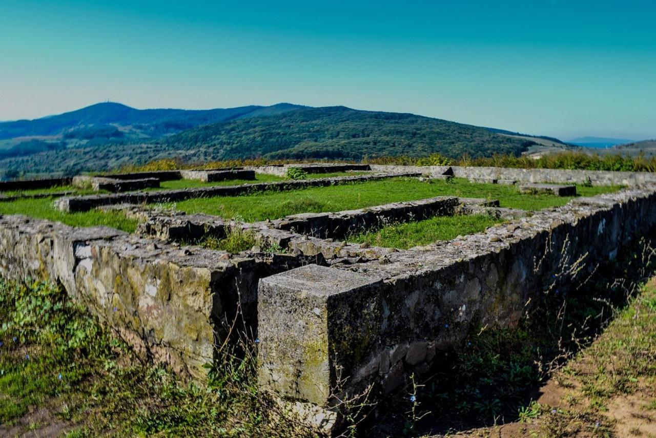 Vatra Strabunilor Βίλα Moigrad Εξωτερικό φωτογραφία