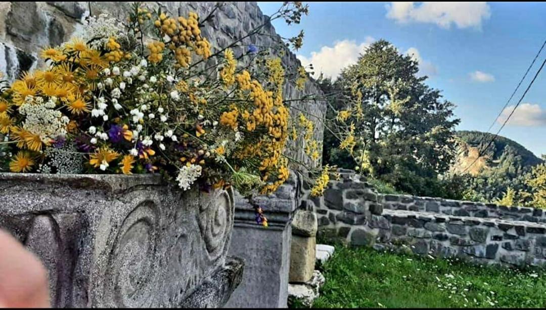 Vatra Strabunilor Βίλα Moigrad Εξωτερικό φωτογραφία