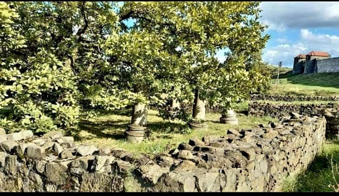 Vatra Strabunilor Βίλα Moigrad Εξωτερικό φωτογραφία