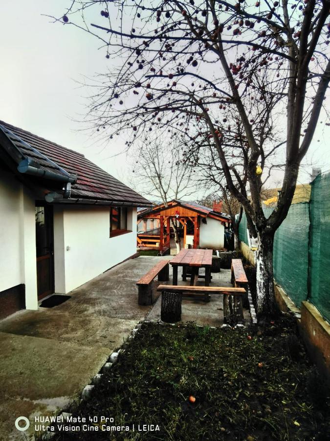 Vatra Strabunilor Βίλα Moigrad Εξωτερικό φωτογραφία
